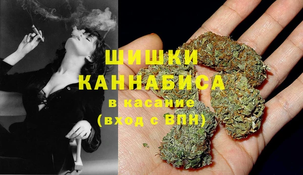 стафф Алзамай
