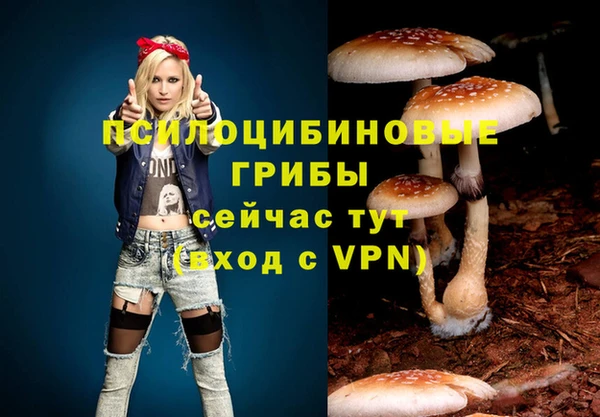 эйфоретик Алексин