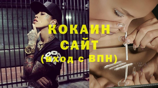 стафф Алзамай