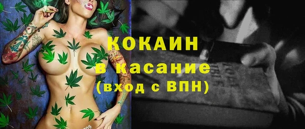стафф Алзамай