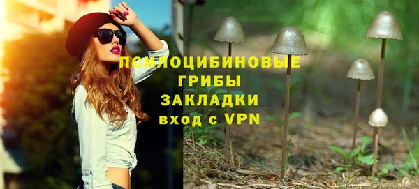 стафф Алзамай